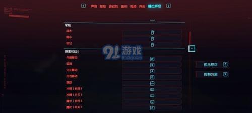 赛博朋克2077（细致入微）